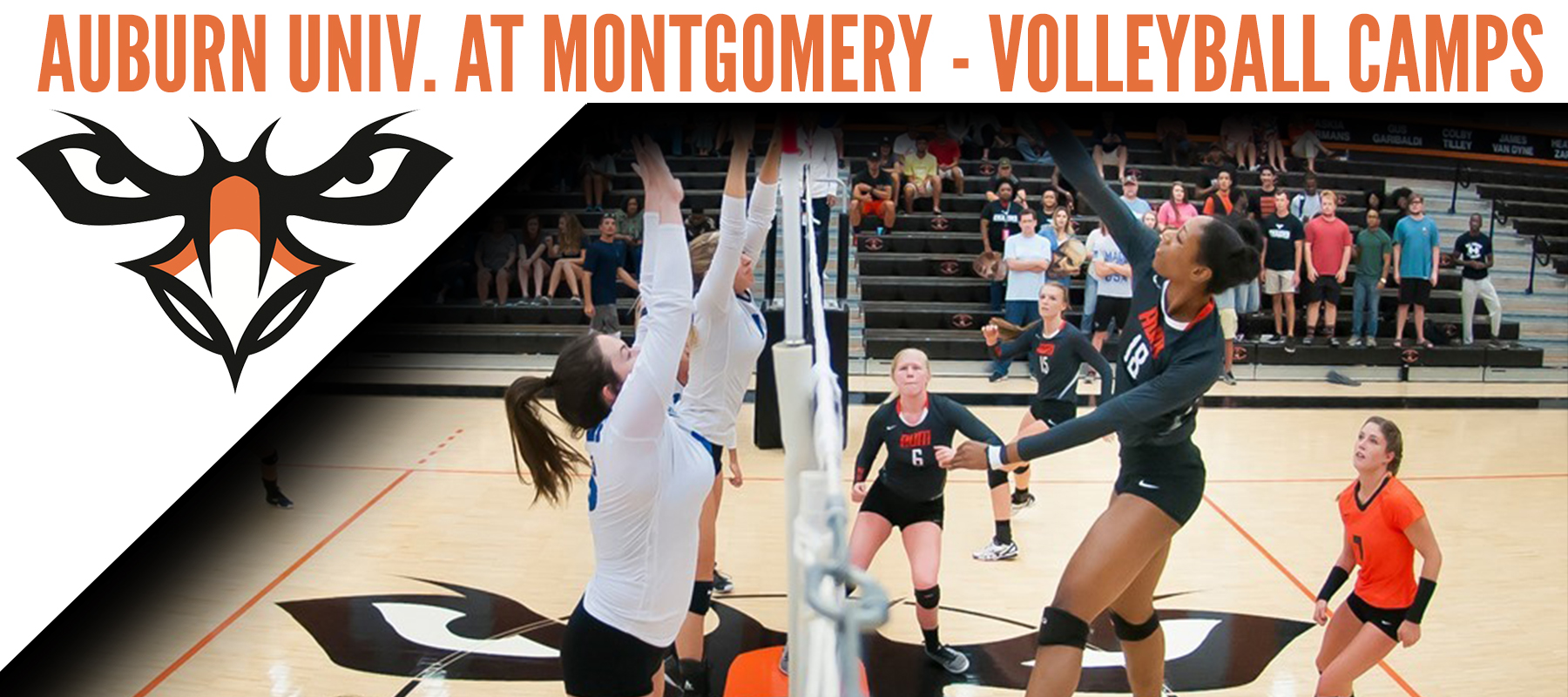 Auburn Univ. at Montgomery Volleyball Montgomery, AL
